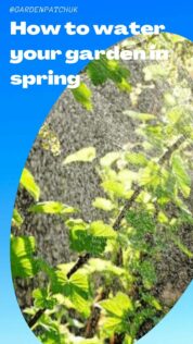 How To Water Your Garden In Spring 5 How to water your garden in spring-min
