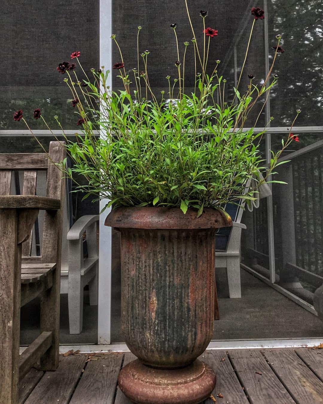 How to Plant Flowers in a Pot so it Doesn't Die on You 2 choose your planter
