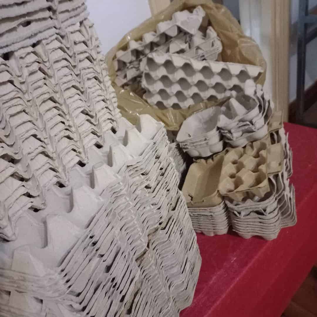 egg cartons filler for flower pot