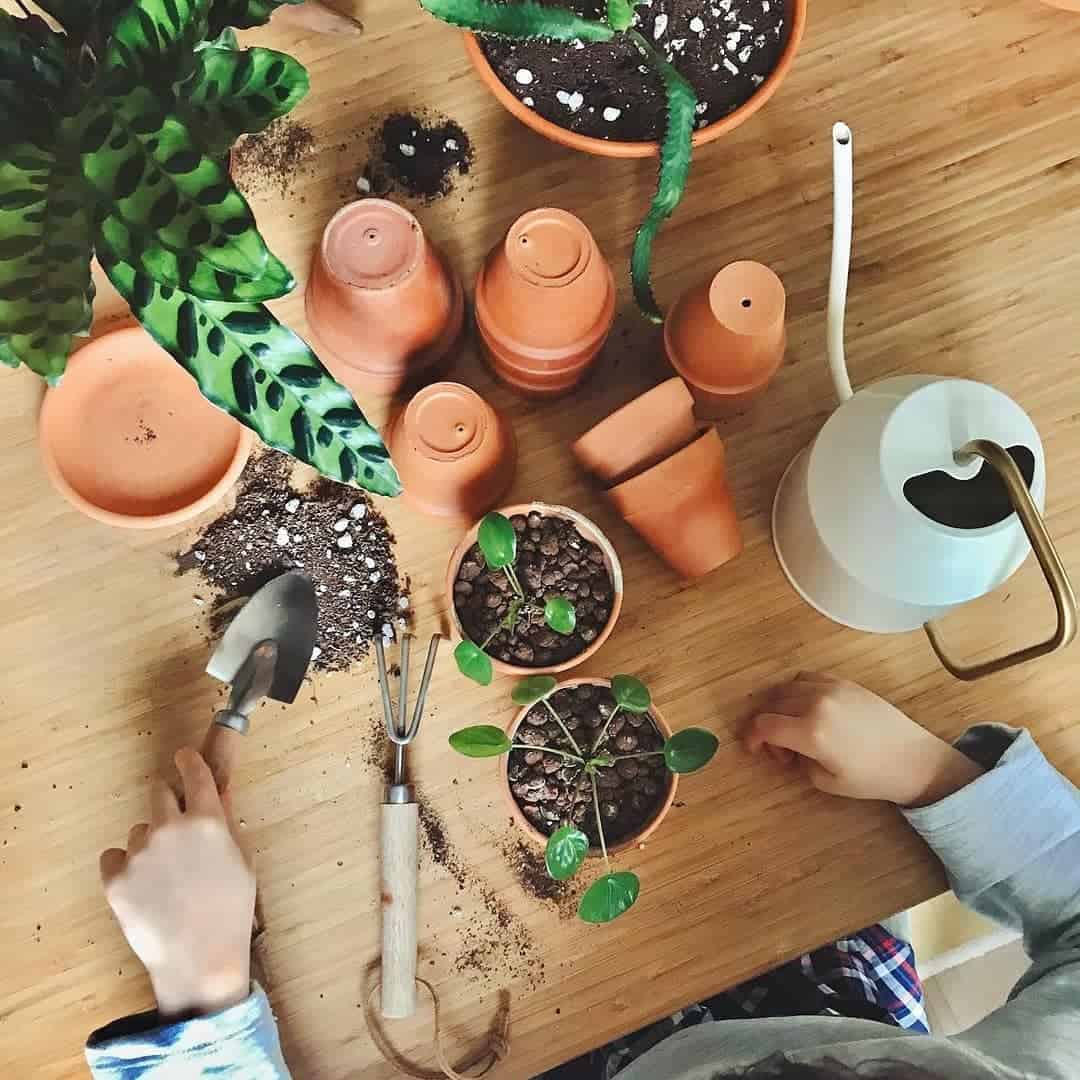 How to Prepare a Flower Pot for Planting 5 fill the flower pot