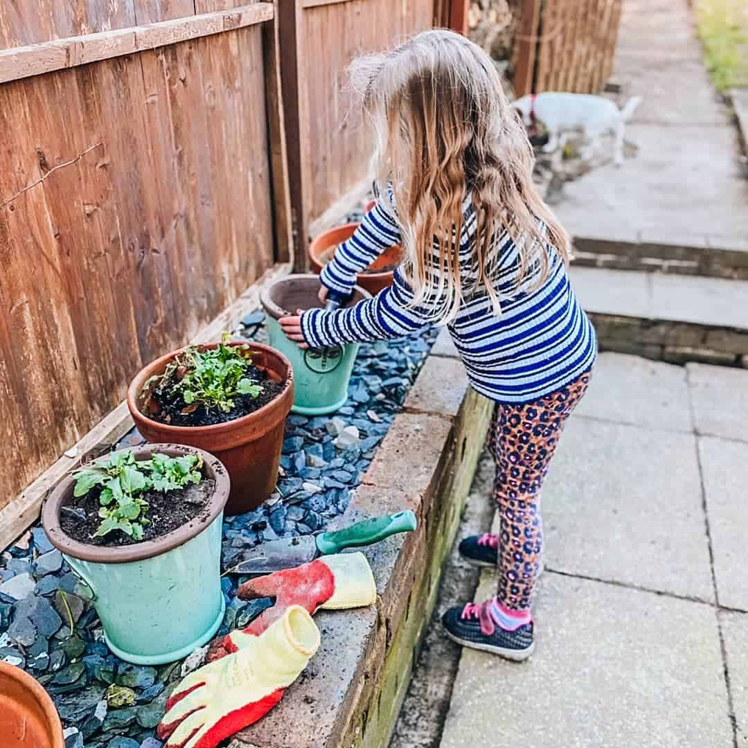 How to Plant Flowers in a Pot so it Doesn't Die on You 6 flower planting in pots