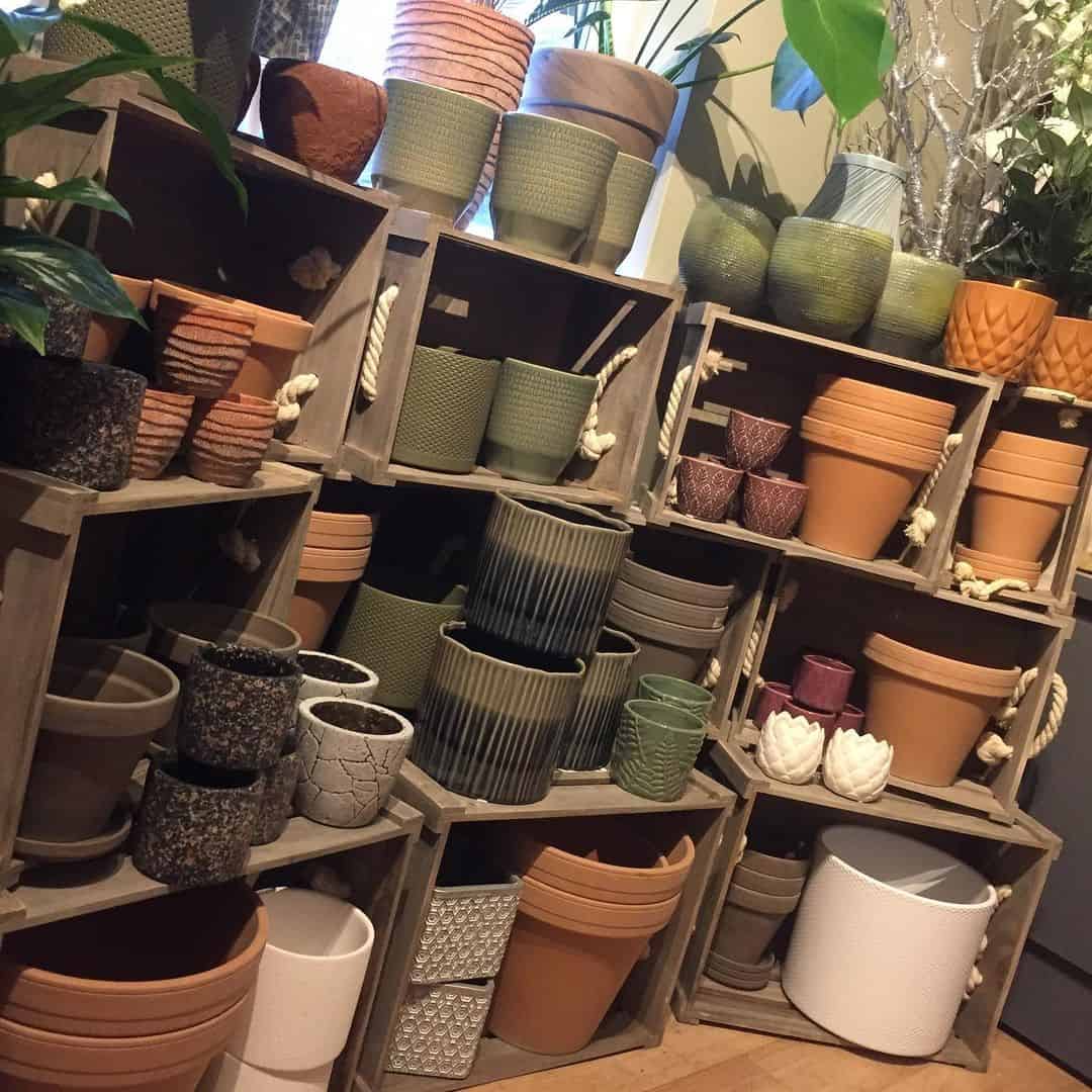 flower pots on a shelf