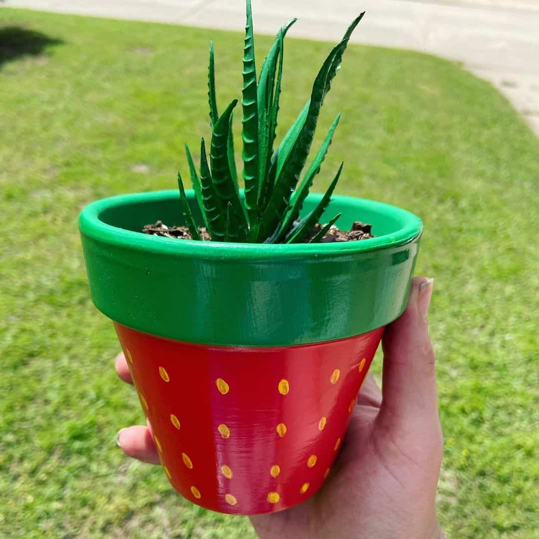 How to Paint a Terracotta Flower Pot 5 fruit terracotta