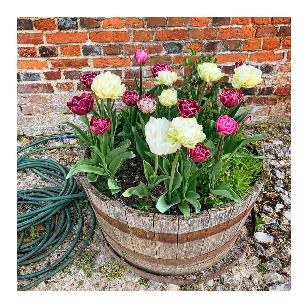 How to Prepare a Flower Pot for Planting 4 heavy pot