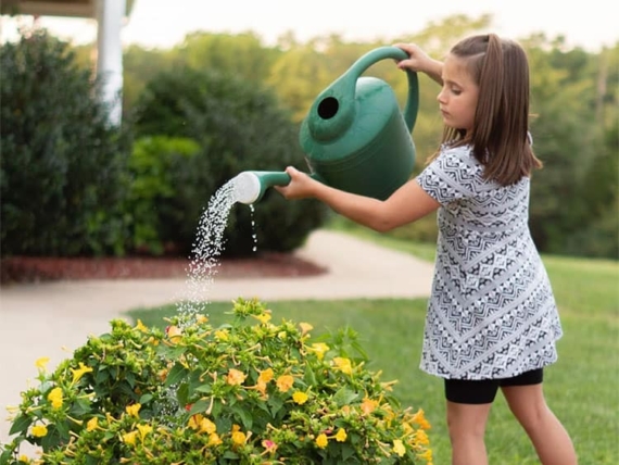 how often to water garden in spring time