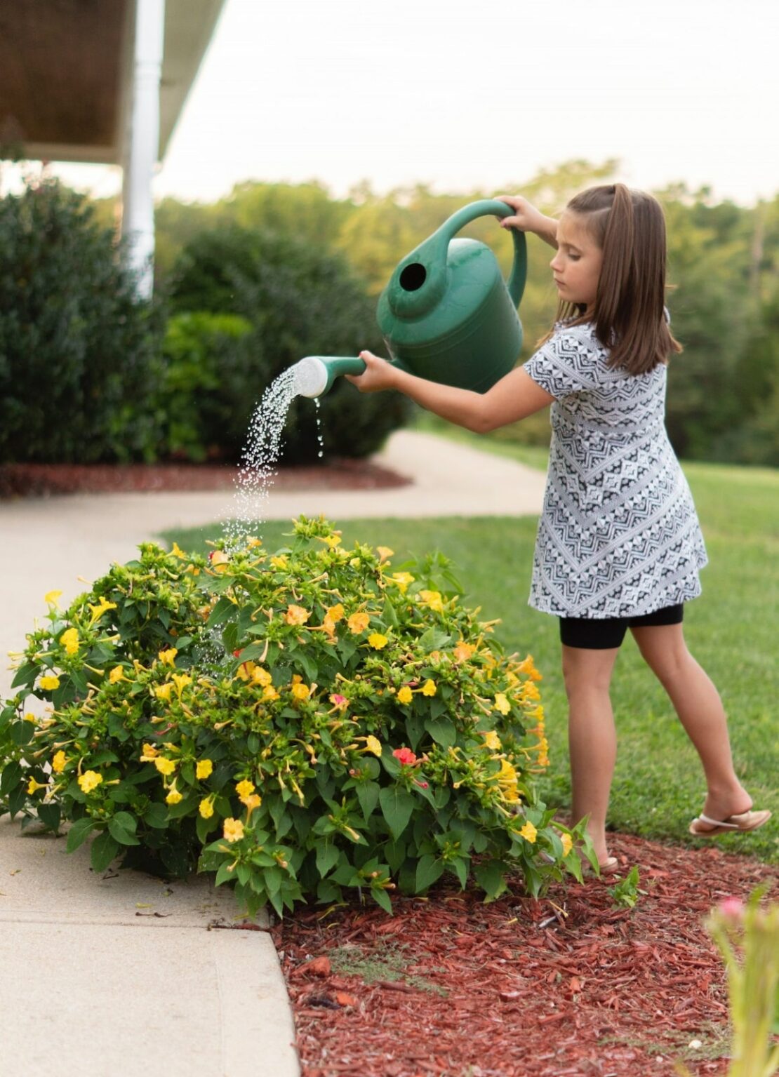 How To Water Your Garden In Spring 1 how often to water garden in spring