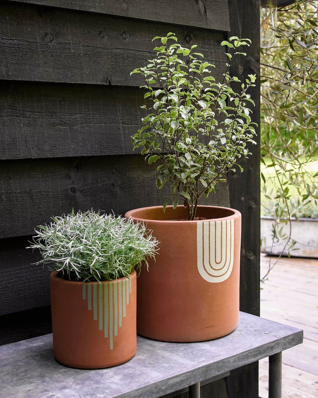 large flower pots with plants