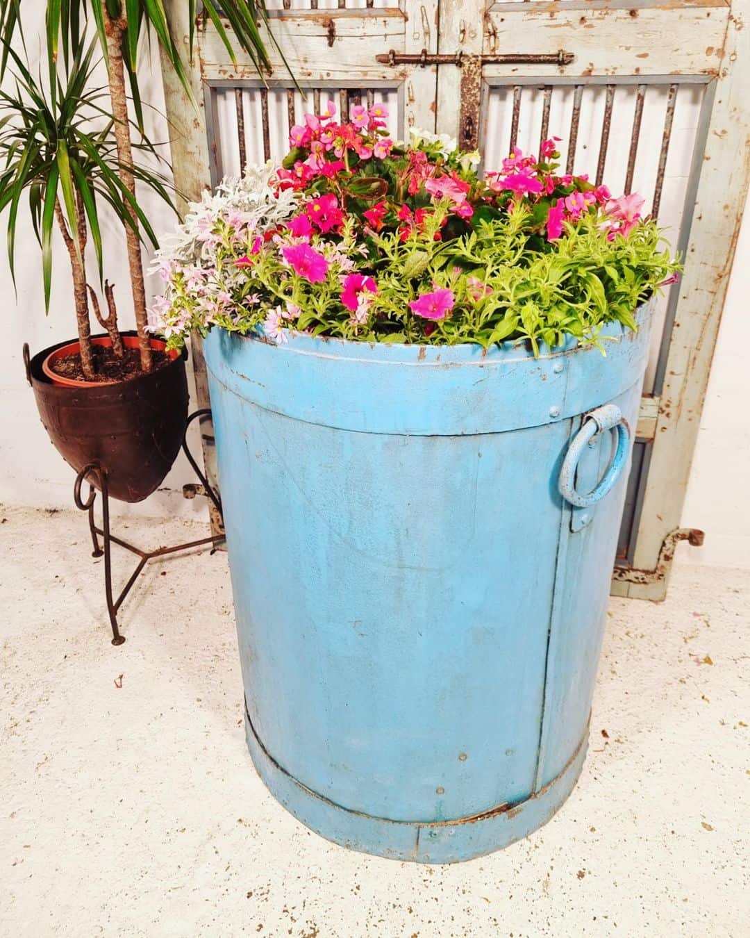 large vintage grain drum