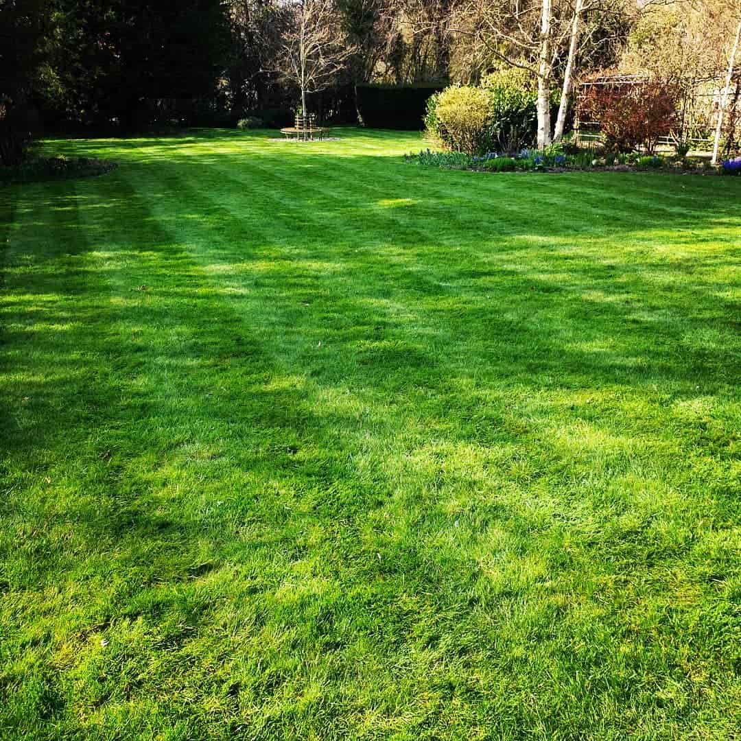 What to Do in the Garden in April: 14 Gardening Jobs 2 lawn work march garden