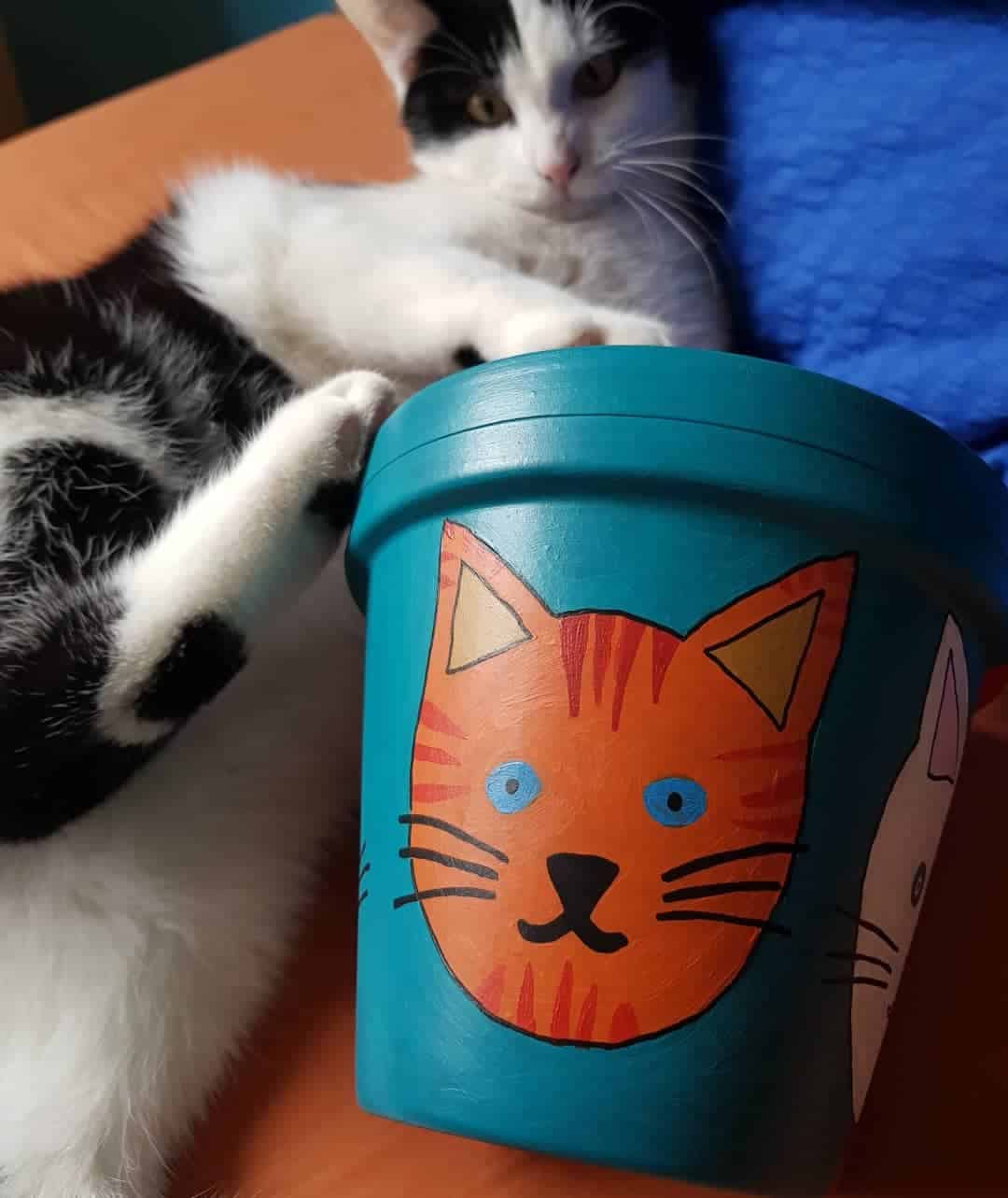 How to Paint a Terracotta Flower Pot 4 paint terracotta flower pots with pets