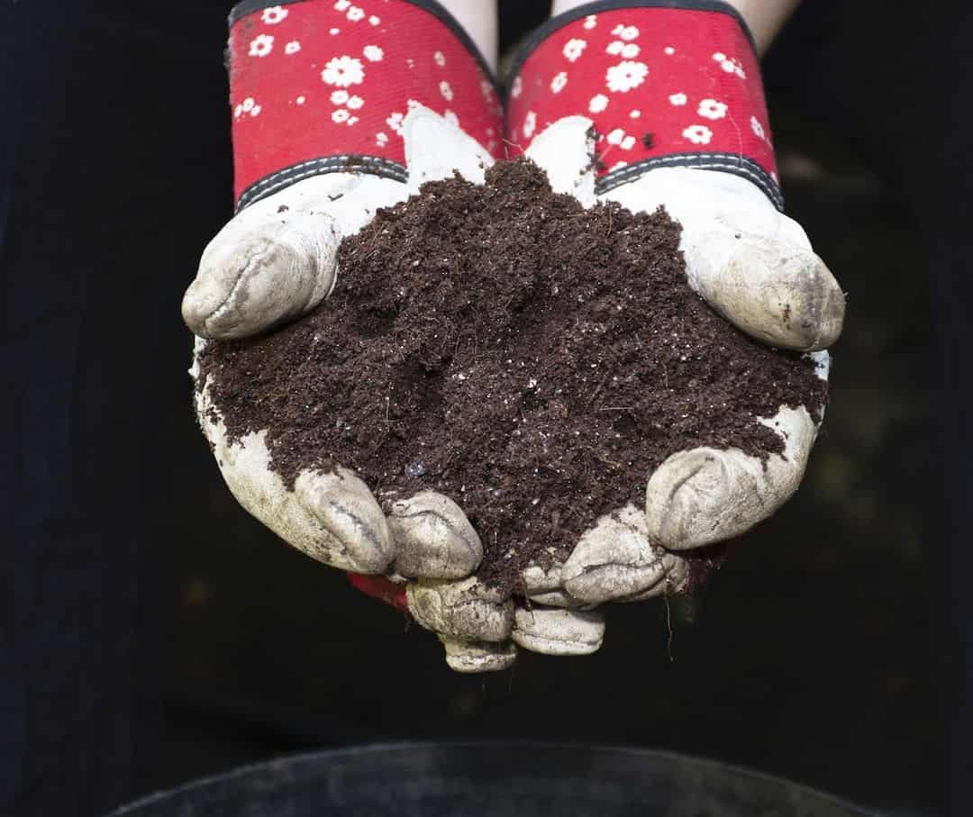 How to Plant Flowers in a Pot so it Doesn't Die on You 5 plant pot soil
