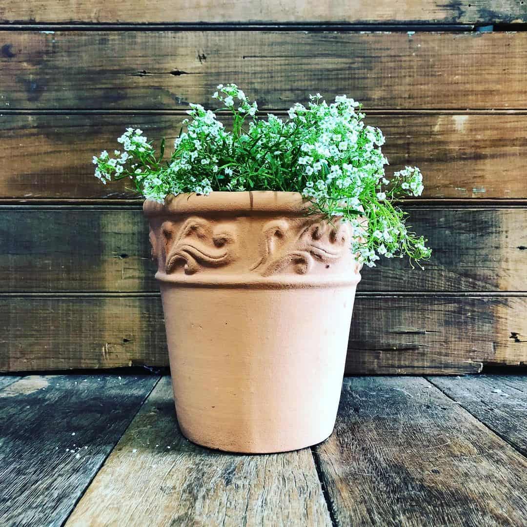 How to Prepare a Flower Pot for Planting 1 prepare a flower pot for planting