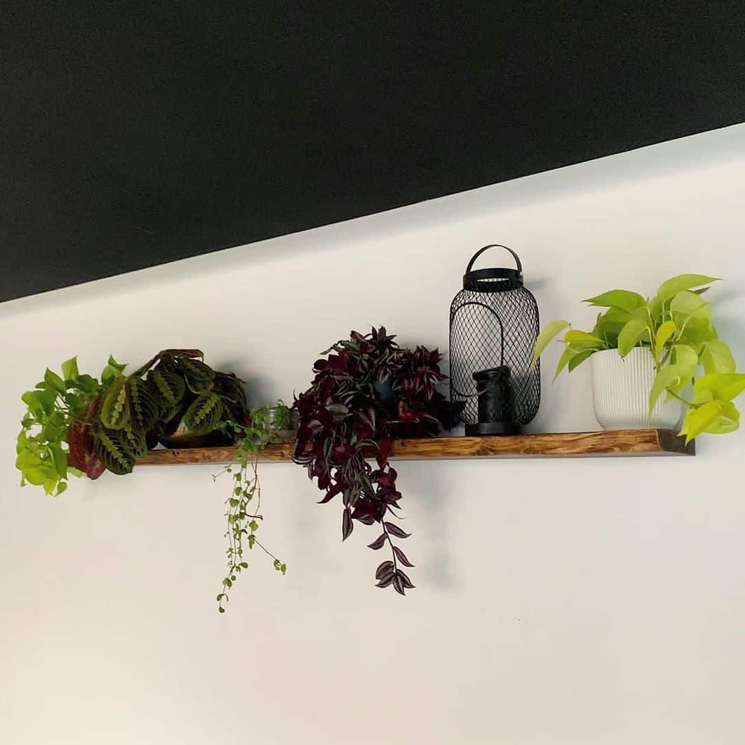 How to Make a DIY Flower Pot Stand (15 Easy Ideas) 13 scaffold board plant shelf