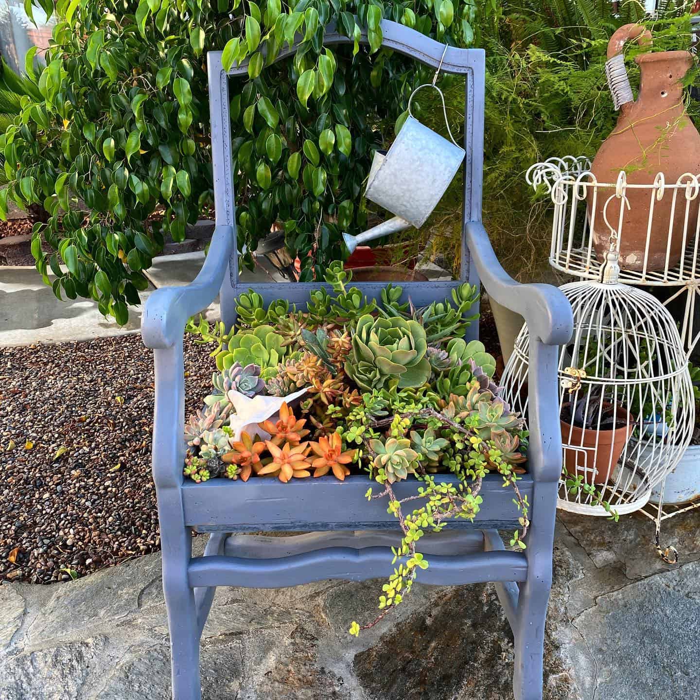 succulent seat