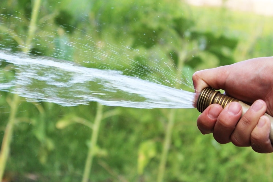 How To Water Your Garden In Spring 4 watering by hand