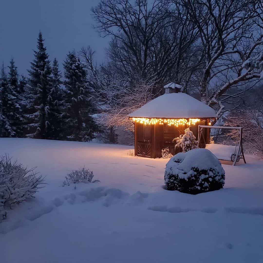 winter garden lights