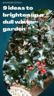 9 ideas to brighten up a dull winter garden