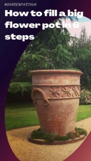 How to fill a big flower pot in 6 steps-min