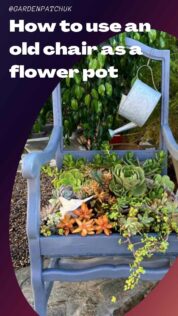 How to use an old chair as a flower pot-min