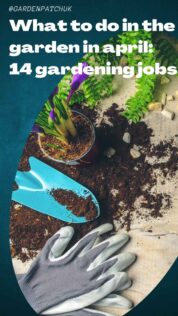 What to Do in the Garden in April: 14 Gardening Jobs 15 What to do in the garden in april 14 gardening jobs