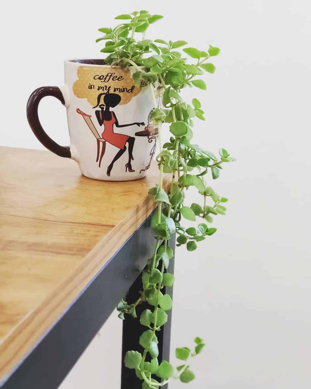 17 DIY Flower pot Ideas 2 broken mug diy flower pot