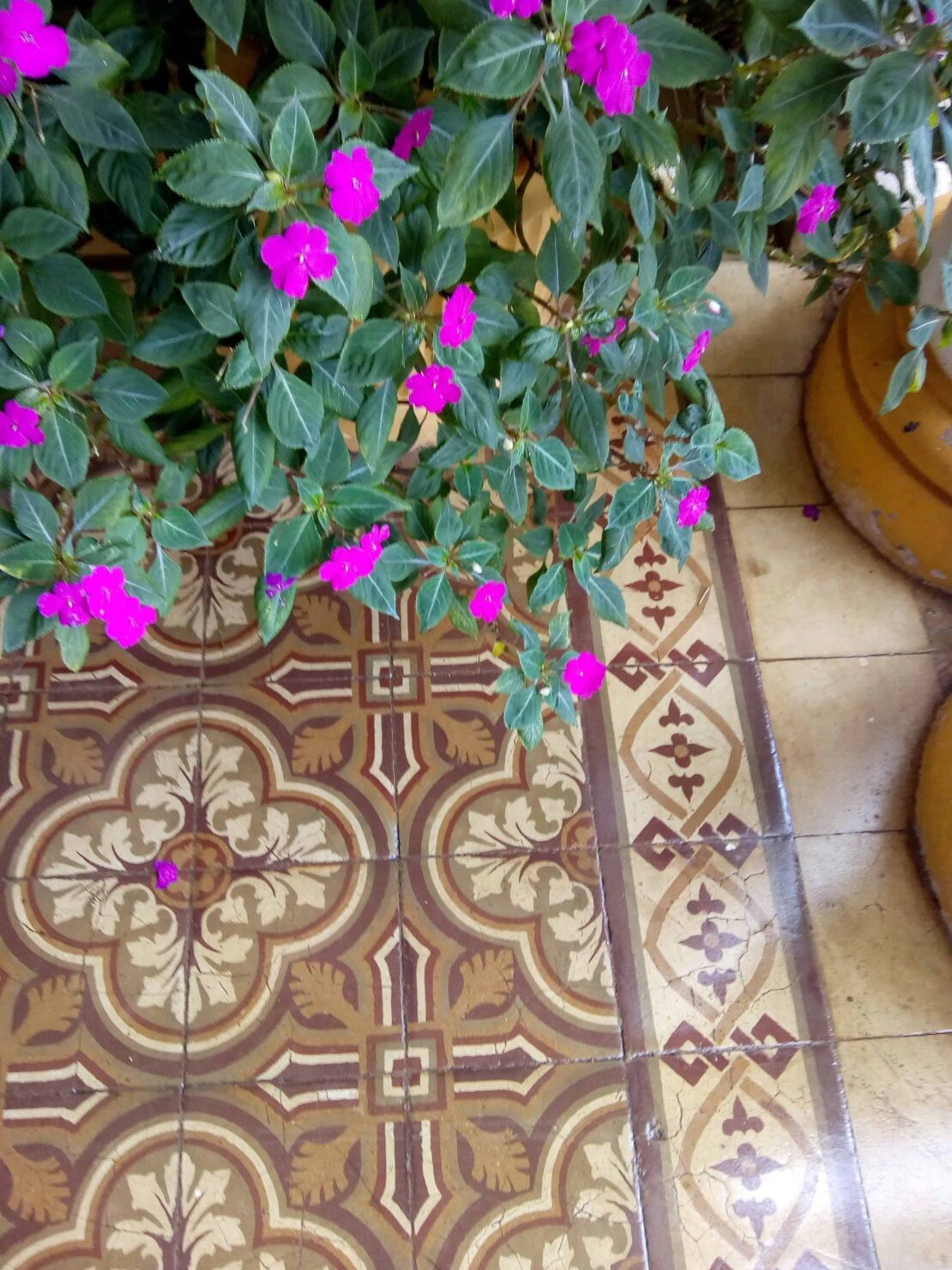 busy Lizzies and tiles