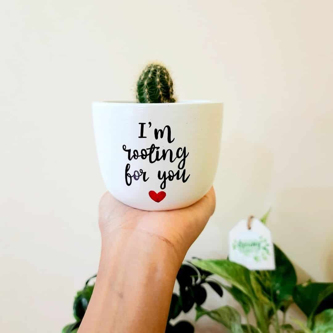 cactus flower pot size