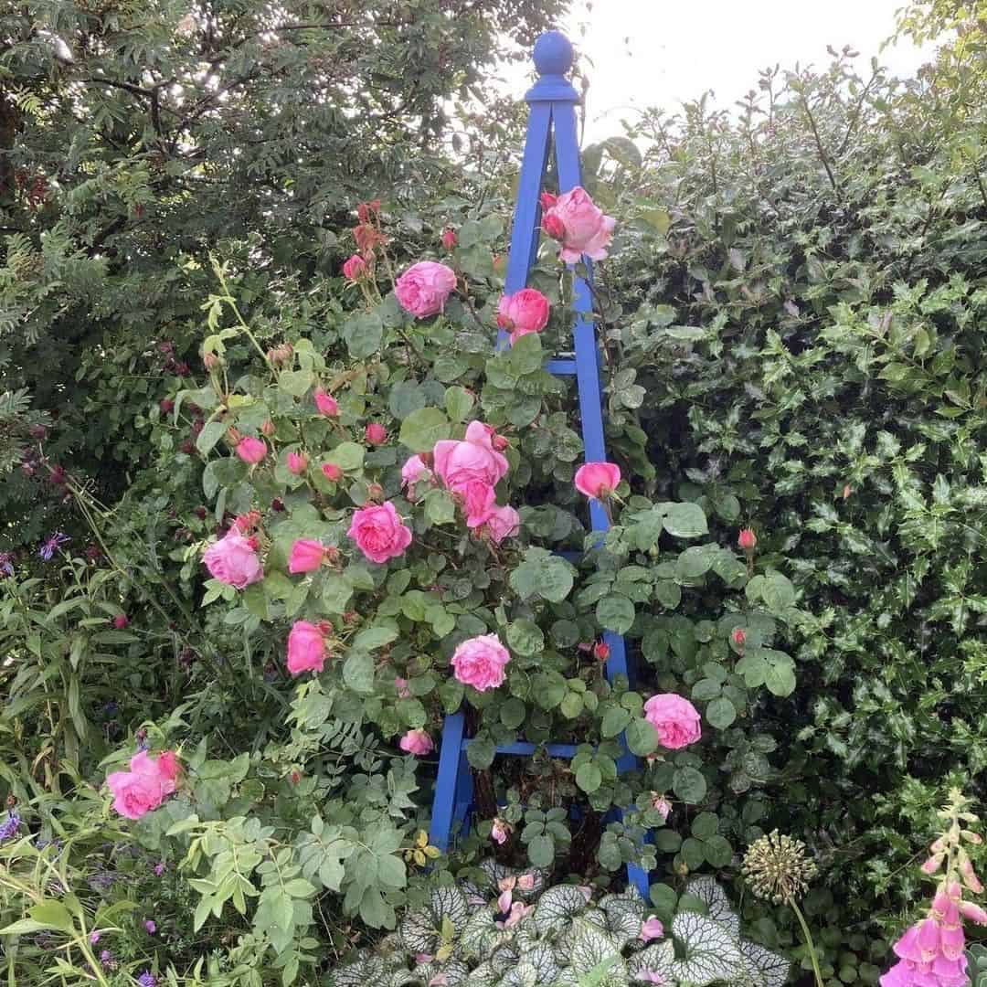 circular obelisk tower