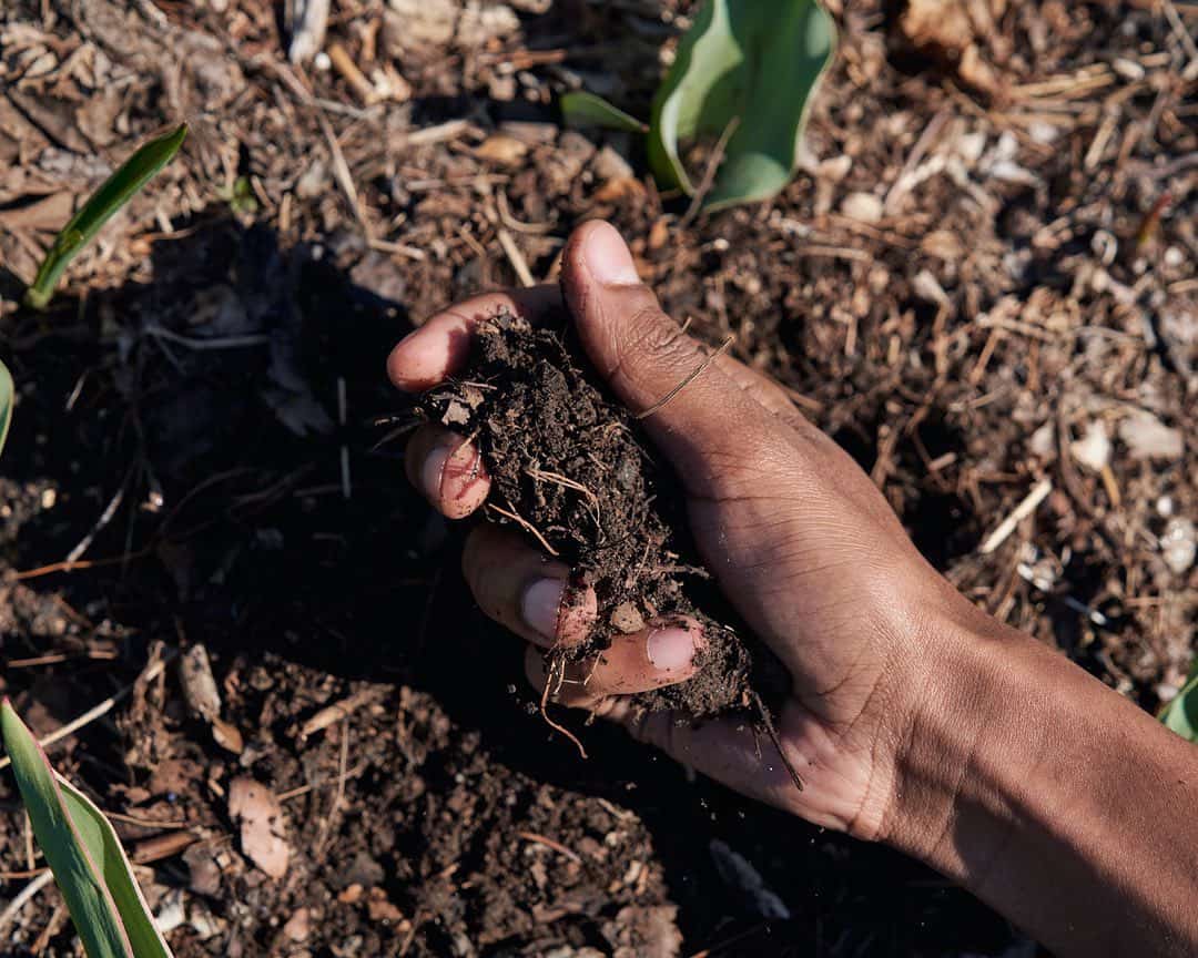 different types of garden soil