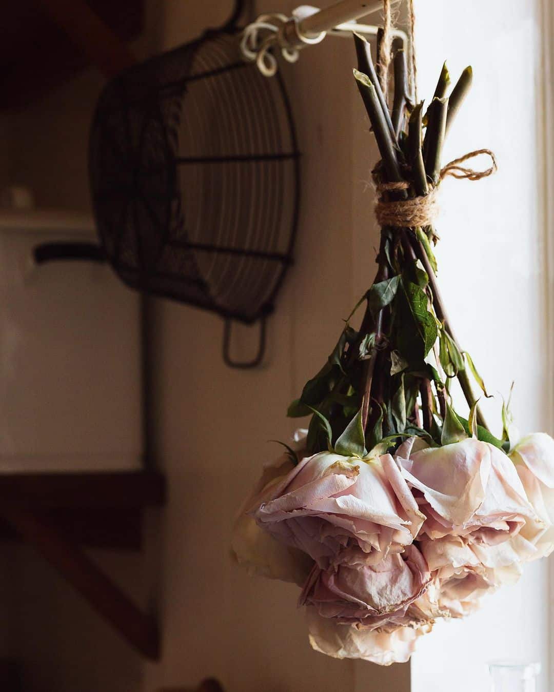 How to Grow and Dry Flowers: 14 Best Plants to Dry 12 dry roses