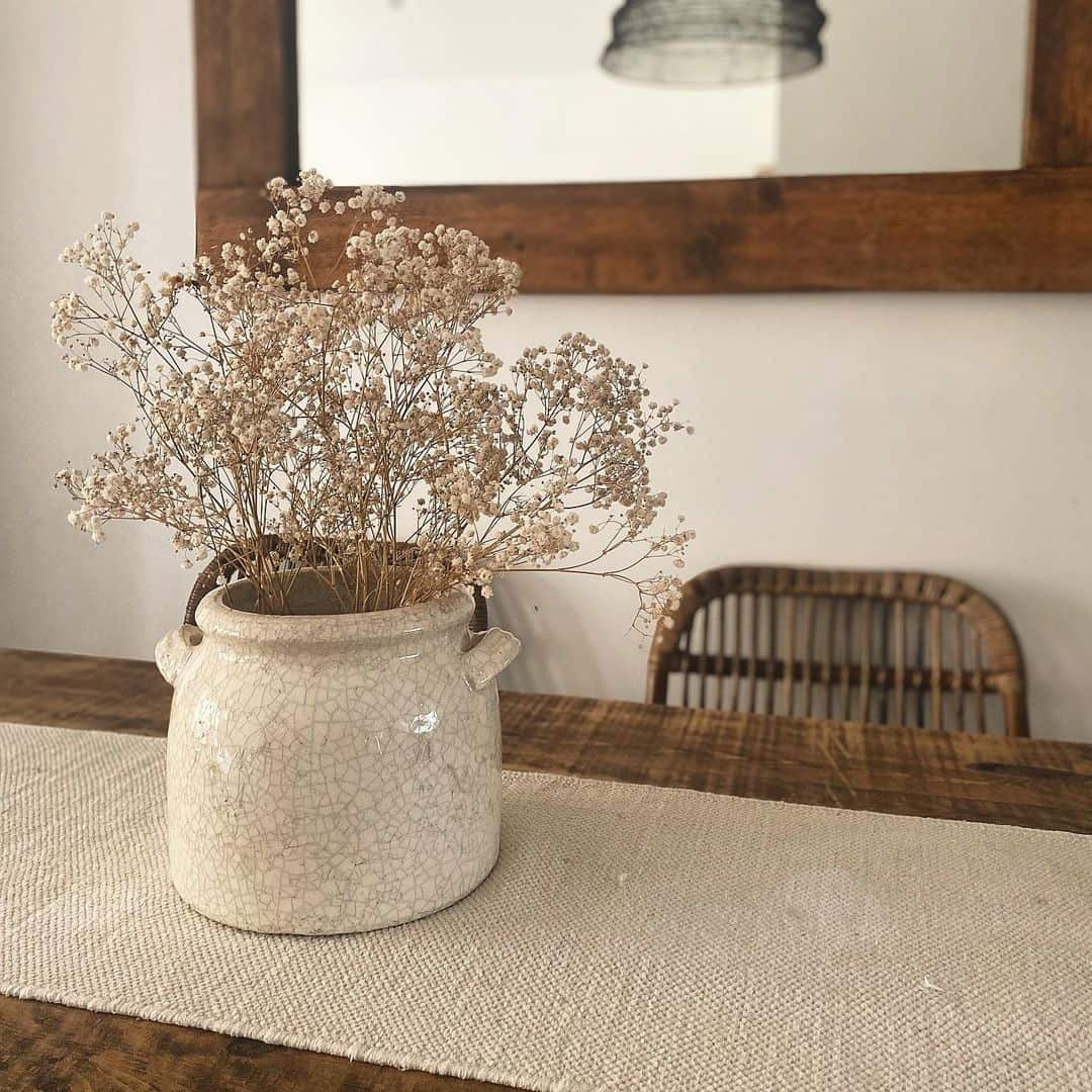 How to Grow and Dry Flowers: 14 Best Plants to Dry 6 gypsophila