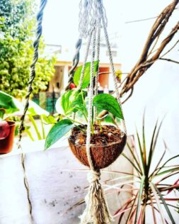 hanging plant pot holder