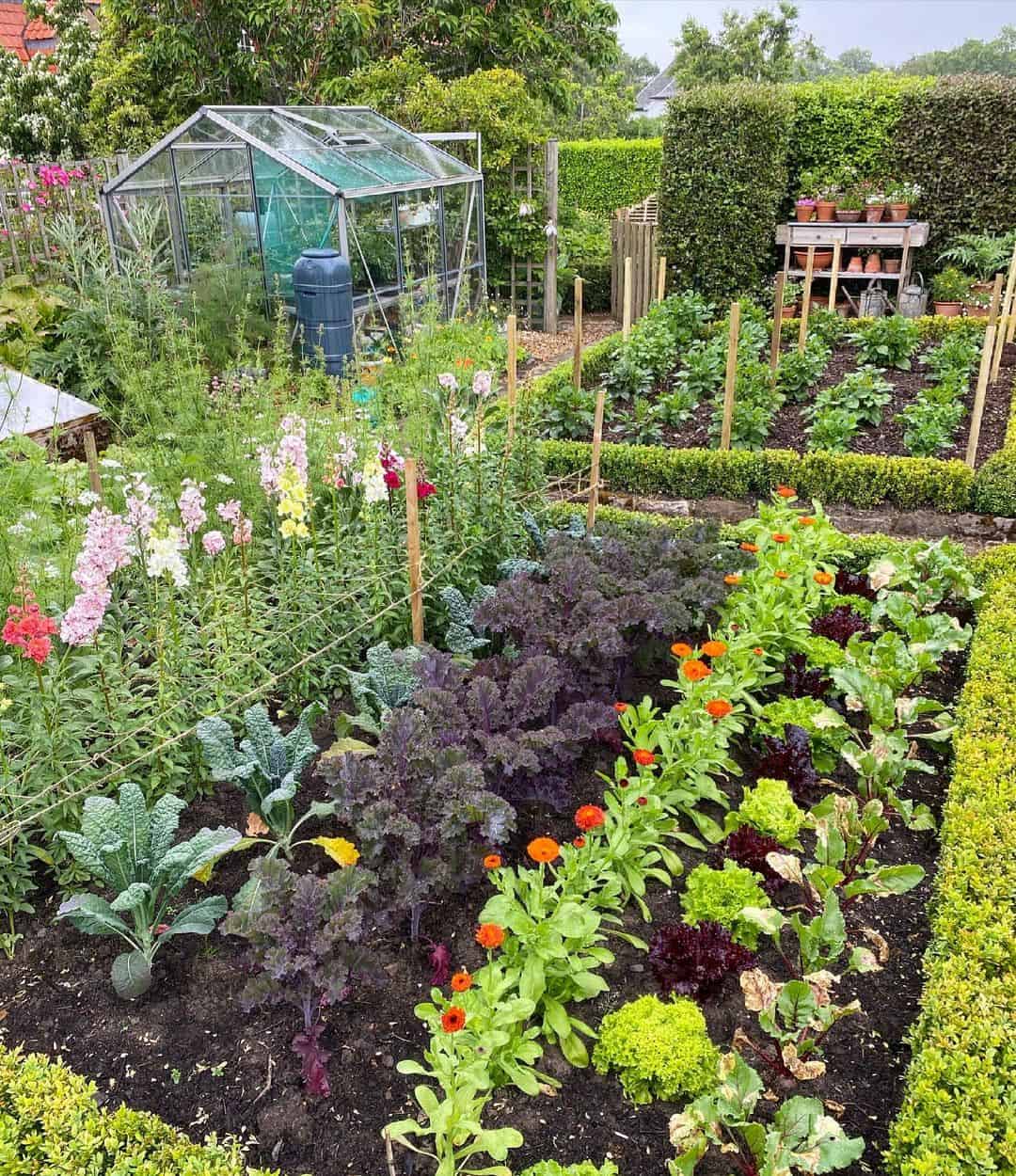 improve the health of soil