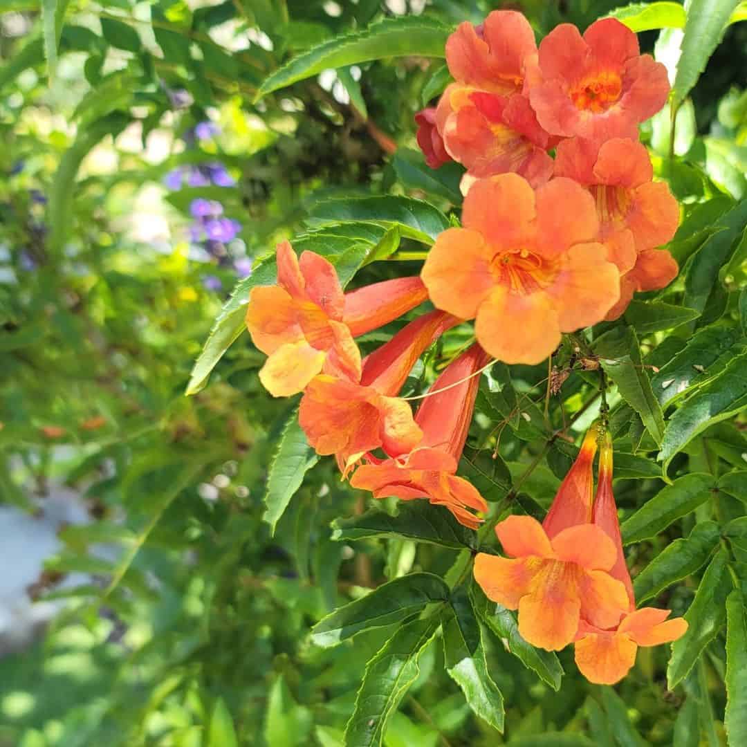 indoor flower pot tower