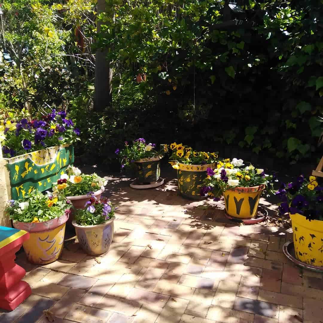 introduce colourful planters