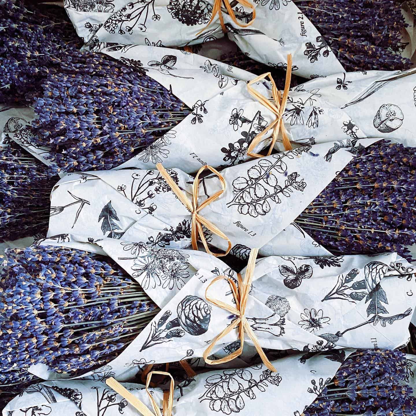 How to Grow and Dry Flowers: 14 Best Plants to Dry 8 lavender dry