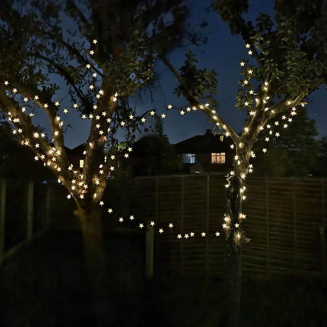 light up dull winter garden