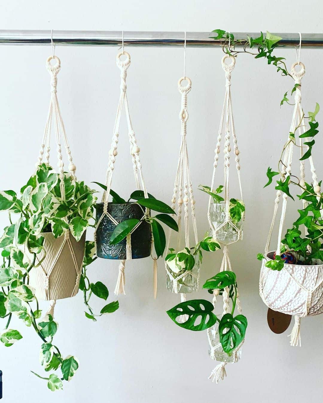 macrame plant hanger