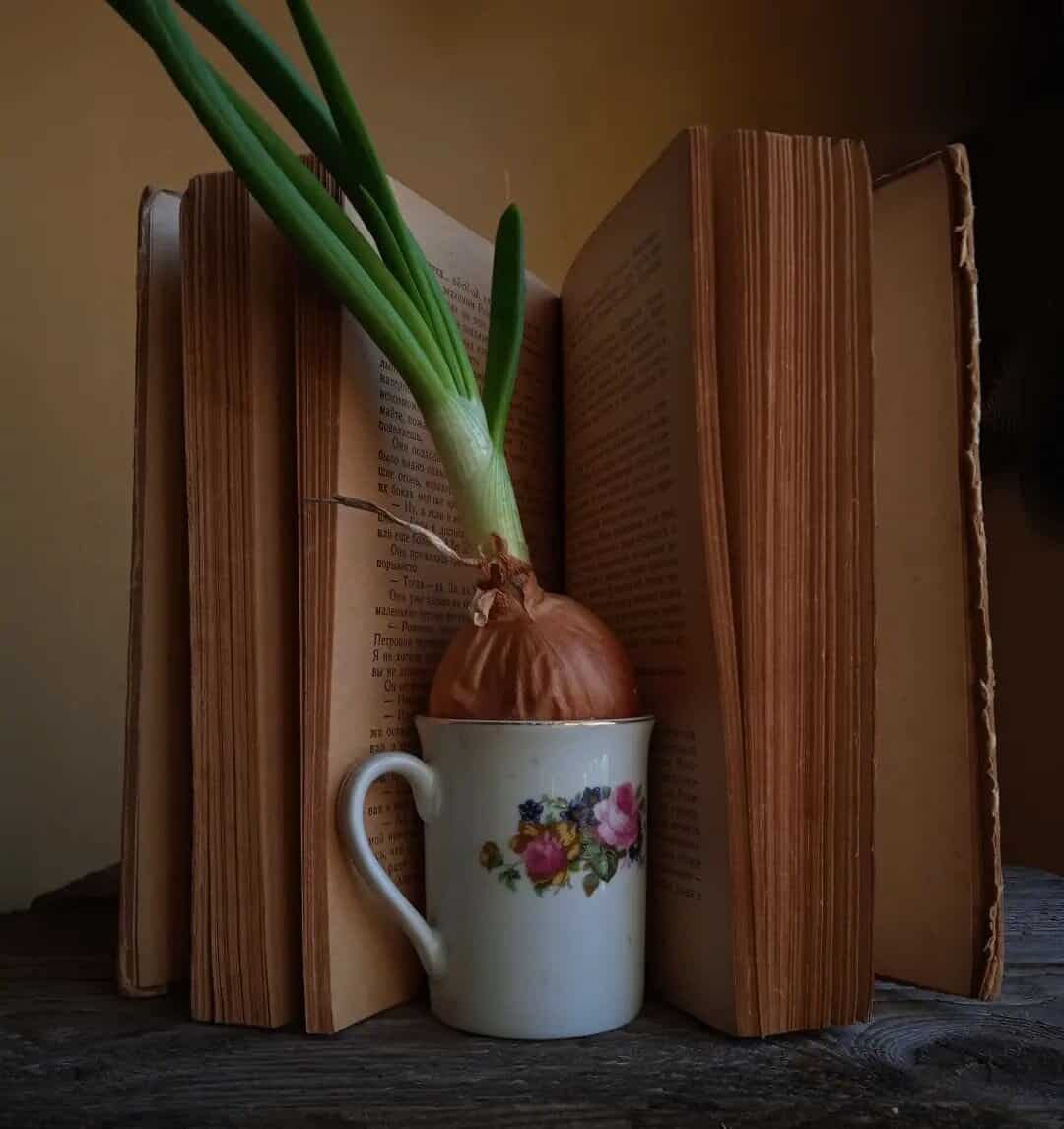 17 DIY Flower pot Ideas 12 mug diy flower pot