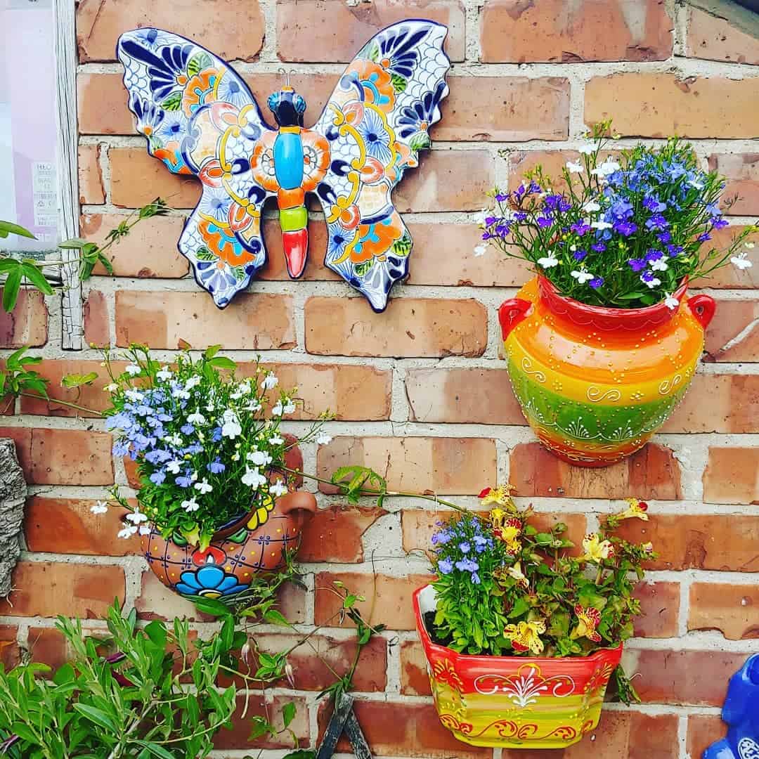 multi coloured planters