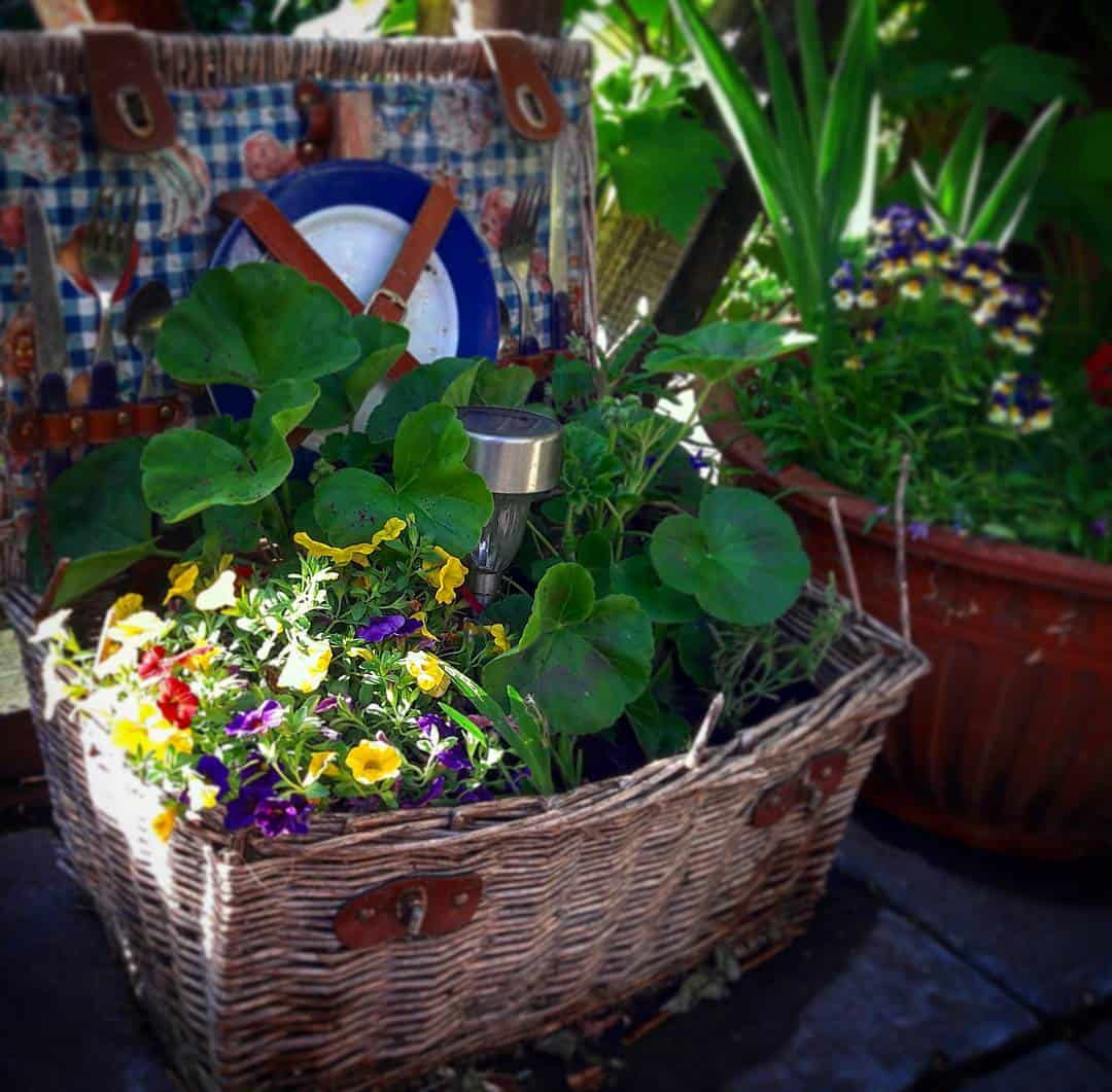 17 DIY Flower pot Ideas 9 picnic baskets diy flower pot