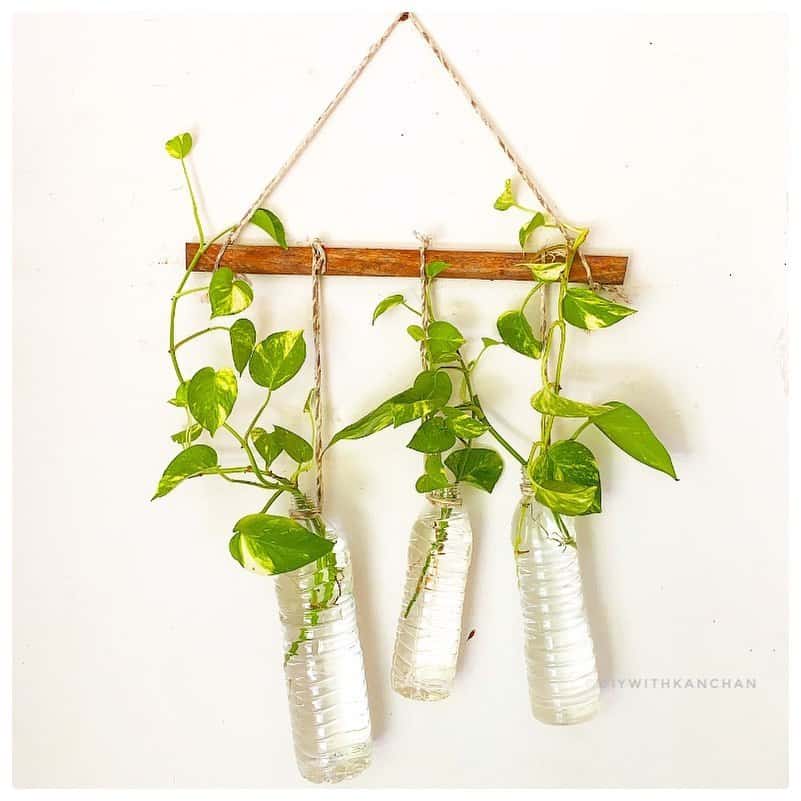 plastic bottle plant holder