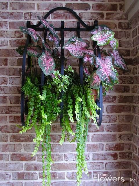 10 Winter Hanging Basket Ideas for an Evergreen Look 7 tropical hanging pots