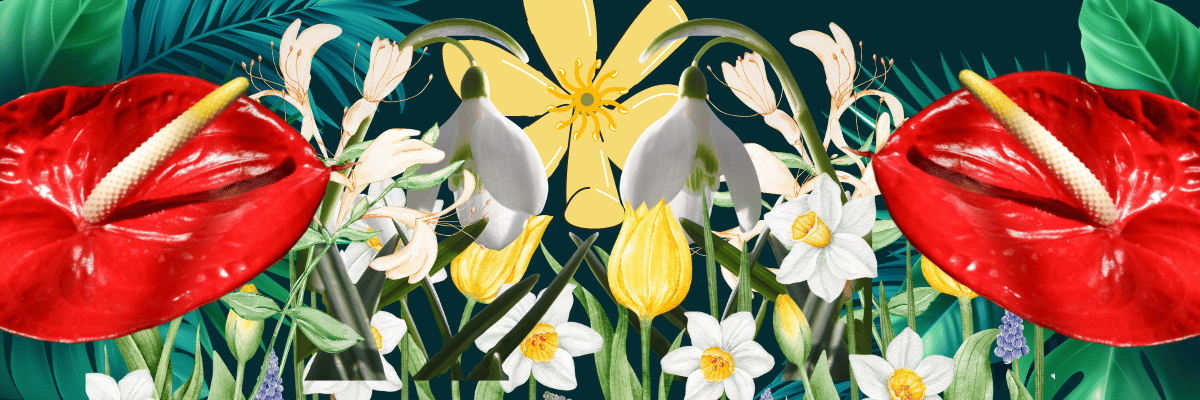 A graphic design containing lots of flowers that bloom in January