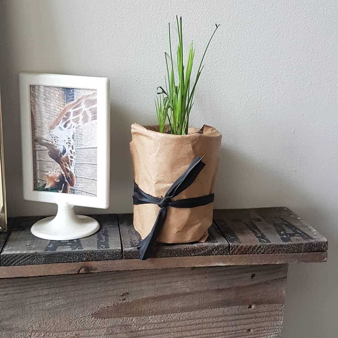 17 DIY Flower pot Ideas 7 yoghurt pots diy flower pot