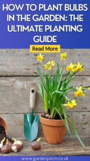 HOW TO PLANT BULBS IN THE GARDEN THE ULTIMATE PLANTING GUIDE-min