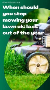 When should you STOP mowing your lawn in UK? (last cut of the year) 4 When should you stop mowing your lawn uk last cut of the year-min