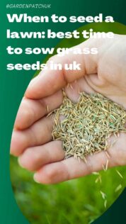 When to Seed a Lawn: Best Time to Sow Grass Seeds in UK 6 When to seed a lawn best time to sow grass seeds in uk