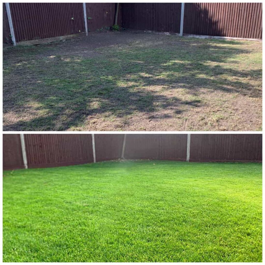 before and after moss lawn