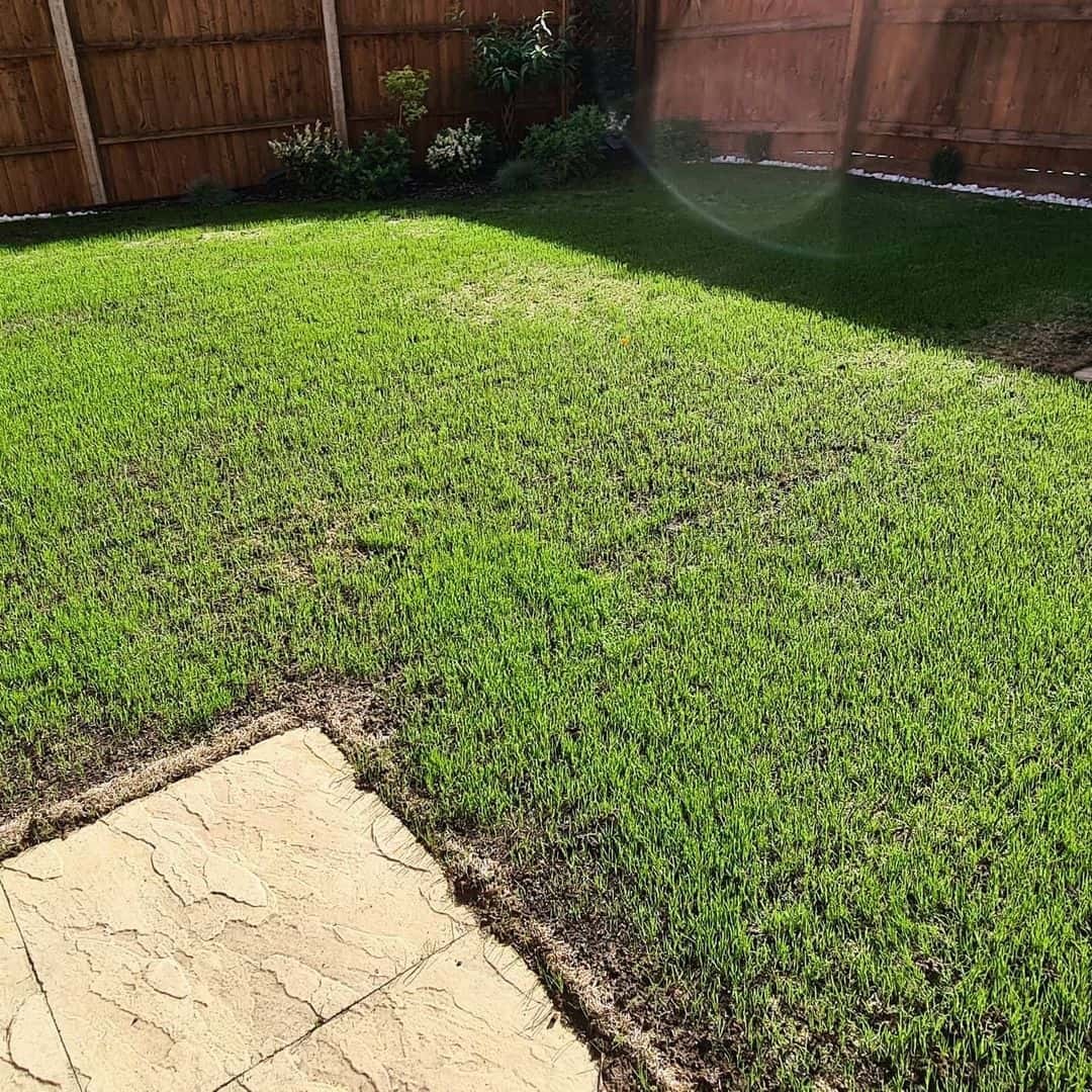 When to Seed a Lawn: Best Time to Sow Grass Seeds in UK 2 best time to seed your lawn